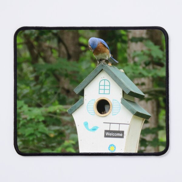 Item preview, Bluebird considering real estate  designed and sold by Larrysphotos.