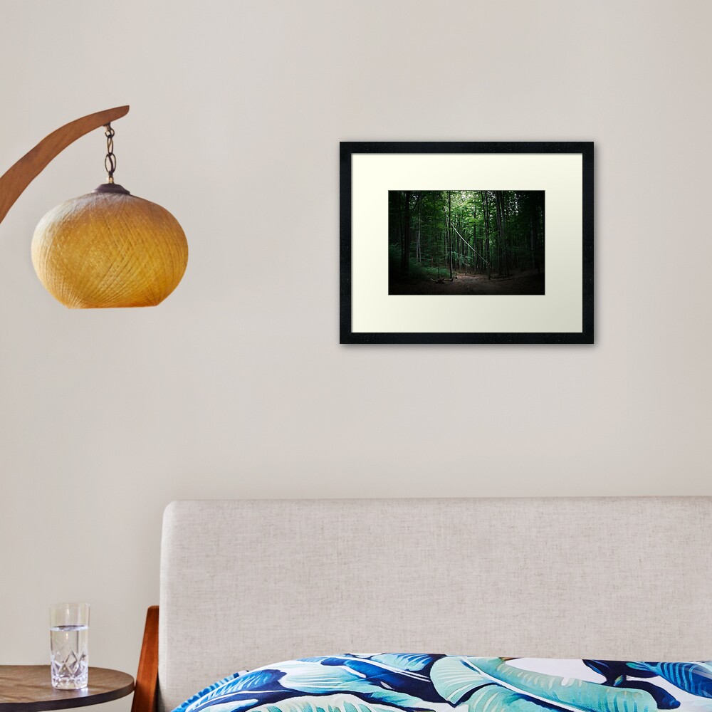 Forest scene with fallen tree Framed Art Print