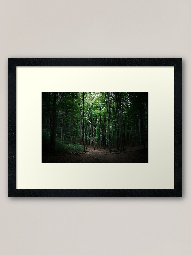 Alternate view of Forest scene with fallen tree Framed Art Print