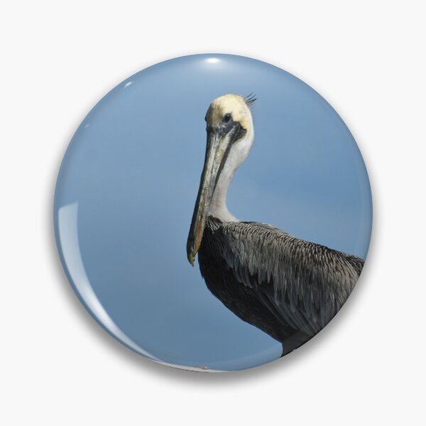 Item preview, Posed Pelican designed and sold by bertsworks300.
