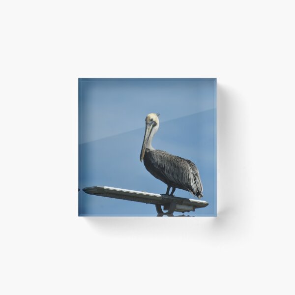 Item preview, Posed Pelican designed and sold by bertsworks300.