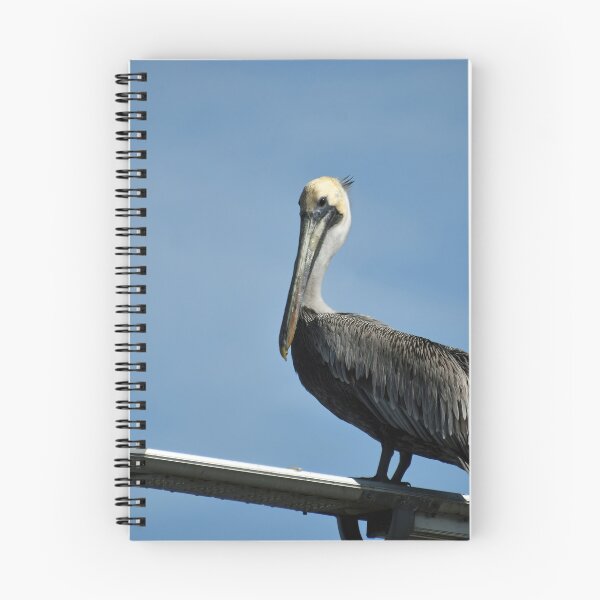 Item preview, Posed Pelican designed and sold by bertsworks300.