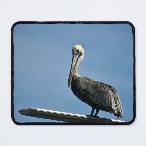 Item preview, Posed Pelican designed and sold by bertsworks300.