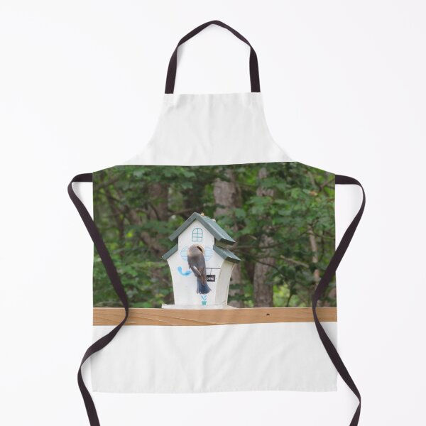 Item preview, Bluebird building a home designed and sold by Larrysphotos.