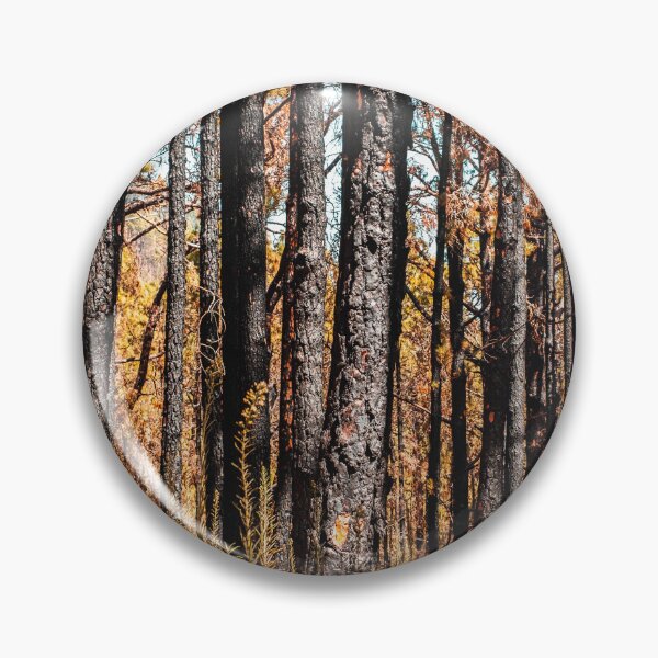 Item preview, Forest Landscape - Nature Photography - Tree Background designed and sold by ohaniki.