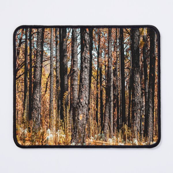 Item preview, Forest Landscape - Nature Photography - Tree Background designed and sold by ohaniki.