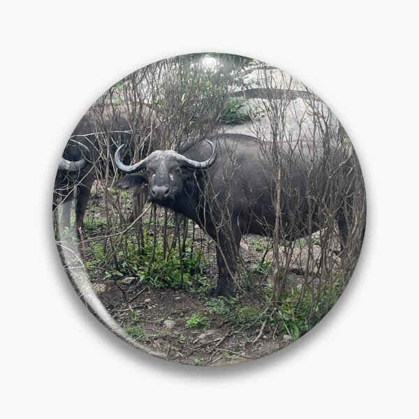 Item preview, Cape buffalo designed and sold by OTave.