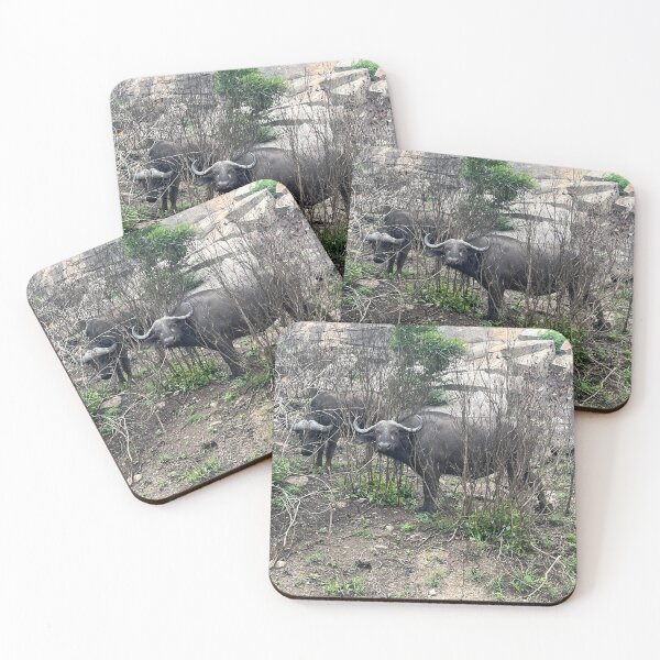 Item preview, Cape buffalo designed and sold by OTave.