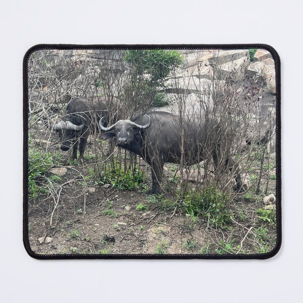 Item preview, Cape buffalo designed and sold by OTave.