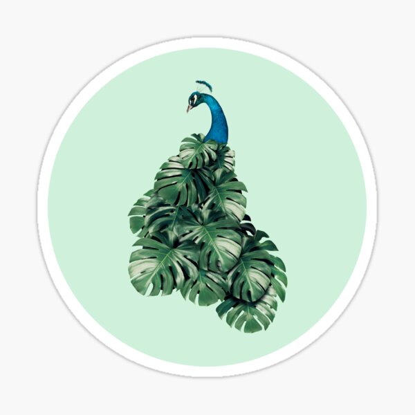 MONSTERA BIRD Sticker