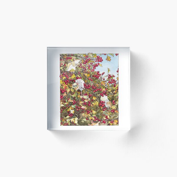 The Blackthorn Bush Acrylic Block