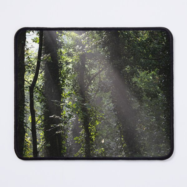 Item preview, Rays of Light designed and sold by Calidris Fotografie Steffi & Ben Köppler.