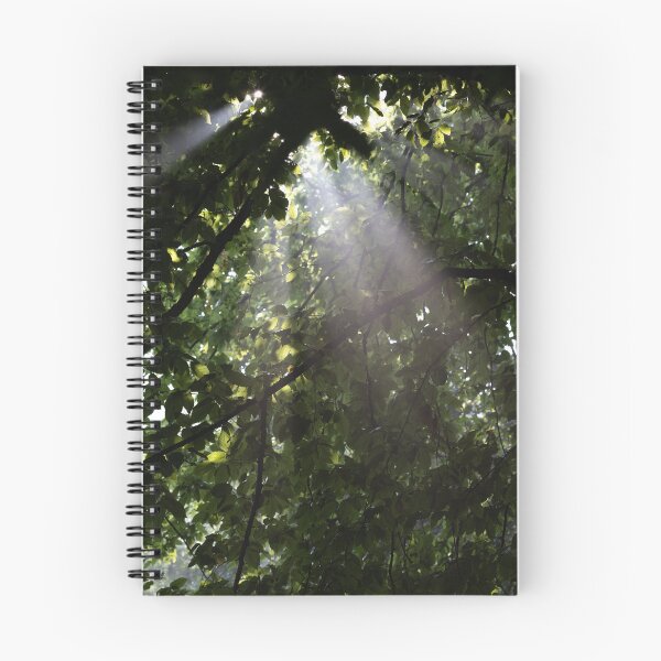 Item preview, Rays of Light designed and sold by Calidris Fotografie Steffi & Ben Köppler.