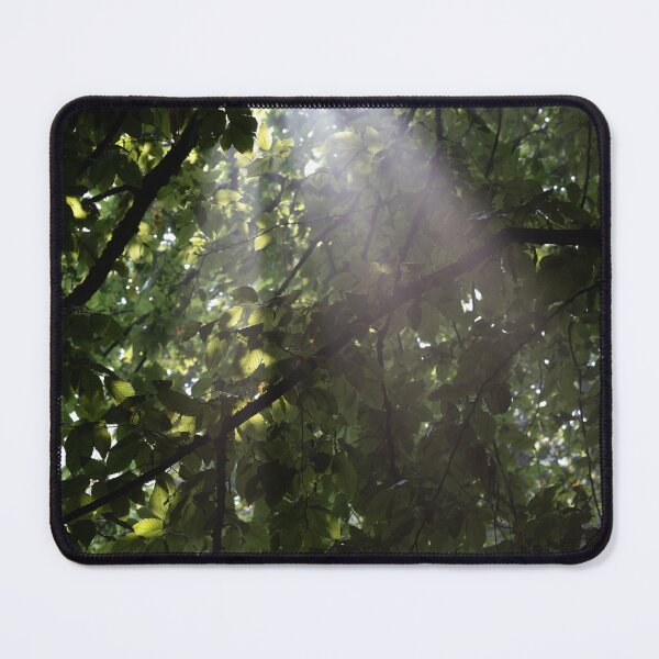 Item preview, Rays of Light designed and sold by Calidris Fotografie Steffi & Ben Köppler.