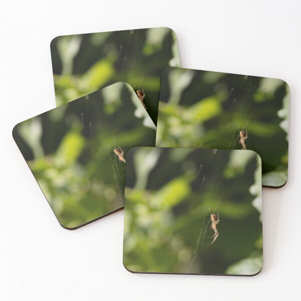 Item preview, Spider designed and sold by Calidris Fotografie Steffi & Ben Köppler.