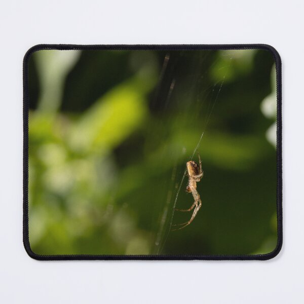 Item preview, Spider designed and sold by Calidris Fotografie Steffi & Ben Köppler.