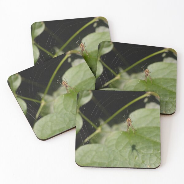 Item preview, Spider and Shadow designed and sold by Calidris Fotografie Steffi & Ben Köppler.
