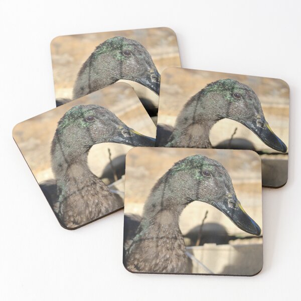 Item preview, Rouen duck designed and sold by McFleur's Lens.