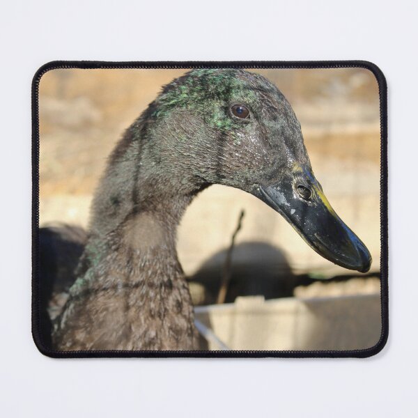 Item preview, Rouen duck designed and sold by McFleur's Lens.