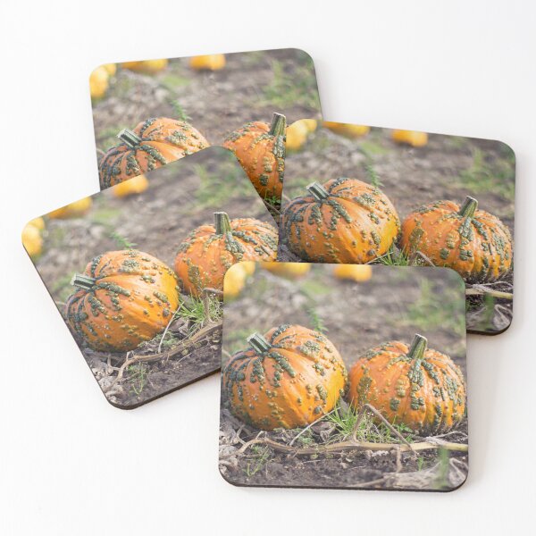 Item preview, Knucklehead Pumpkin designed and sold by MorellaPhotos.
