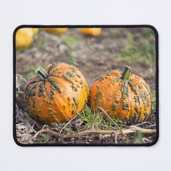 Item preview, Knucklehead Pumpkin designed and sold by MorellaPhotos.