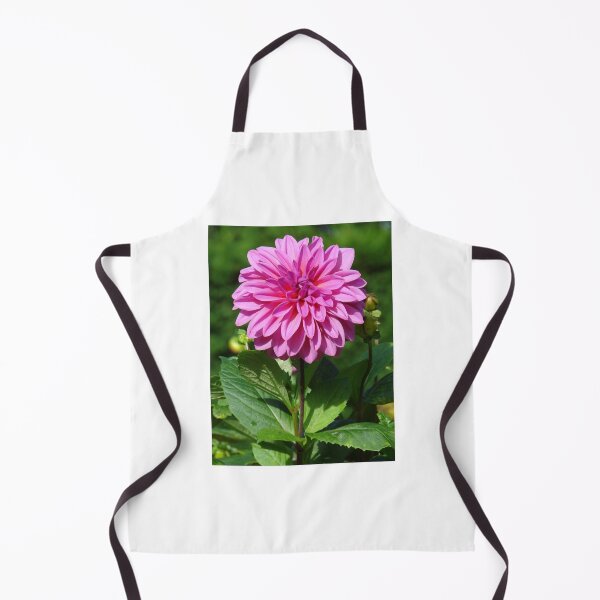 Item preview, Dahlia designed and sold by Chris Petty.