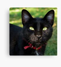 Food...? Canvas Print