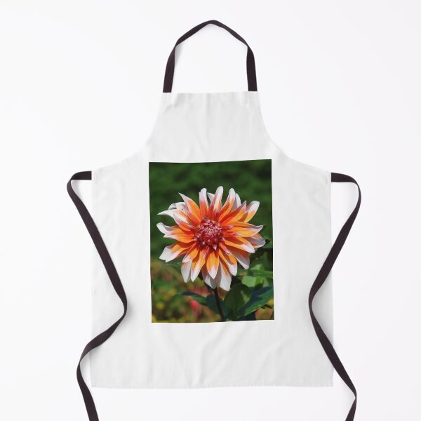 Item preview, Dahlia designed and sold by Chris Petty.