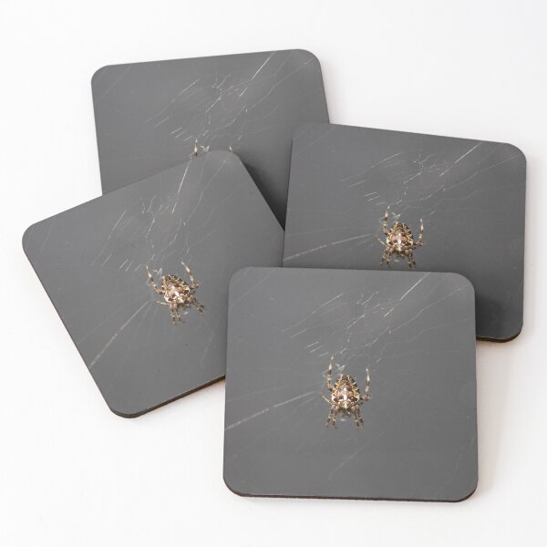 Item preview, Cross Spider designed and sold by Calidris Fotografie Steffi & Ben Köppler.