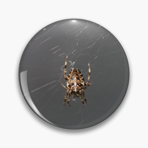 Item preview, Cross Spider designed and sold by Calidris Fotografie Steffi & Ben Köppler.
