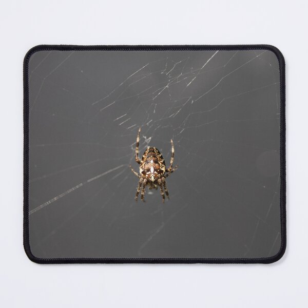Item preview, Cross Spider designed and sold by Calidris Fotografie Steffi & Ben Köppler.