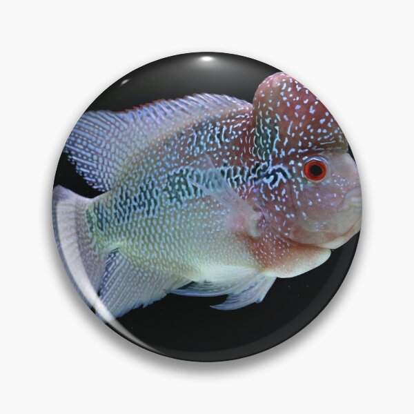 Item preview, Flowerhorn lover, Fishkeeper design designed and sold by Shoot-The-Moon.
