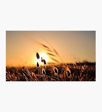 Romantic Sunset Photographic Print
