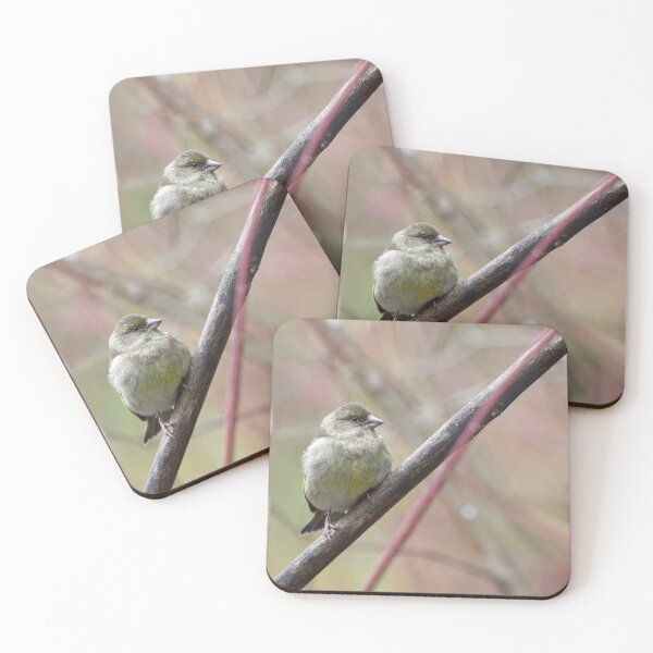 Item preview, Greenfinch simple1 designed and sold by Jouko Lehto Photography.