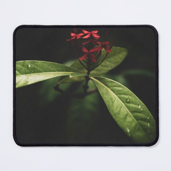 Item preview, Ephemeral Miscellany 03 designed and sold by The Skylounge..