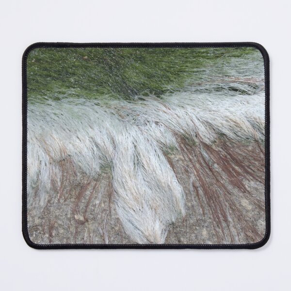 Item preview, 2018 Alga marina designed and sold by robertoferrero.
