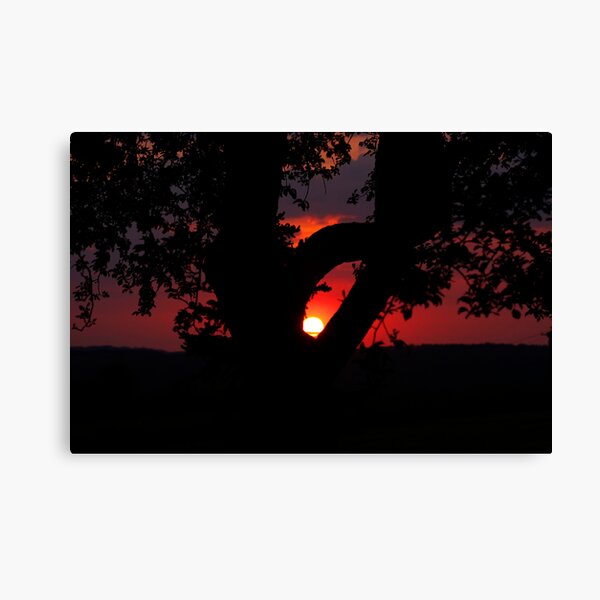 Backyard Sunset Canvas Print
