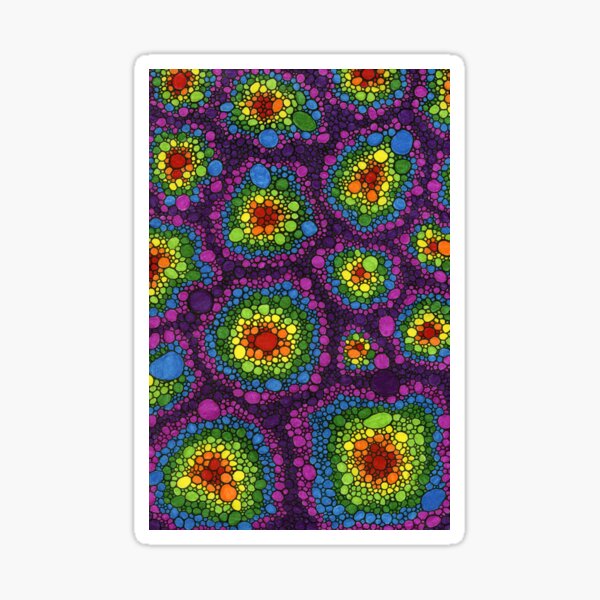 Rainbow Circles Sticker
