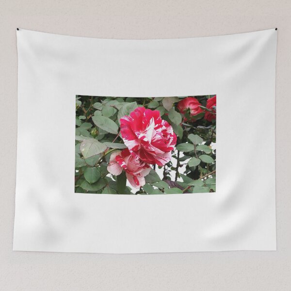 Item preview, Colorful Red Rose Flower designed and sold by SamirArt.