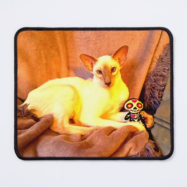 Item preview, Cat Toy designed and sold by ontological.