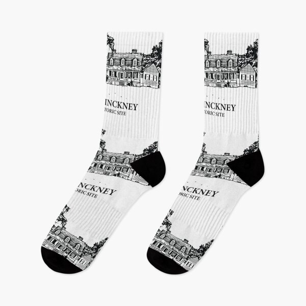 Item preview, Charles Pinckney National Historic Site designed and sold by Lakeric Cityscapes.