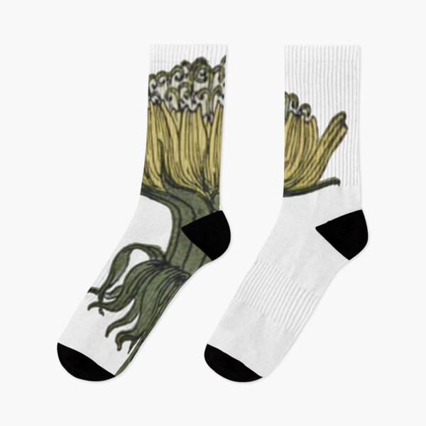 Item preview, Wild Dandelion Head Illustration  designed and sold by HawthorneFlame.