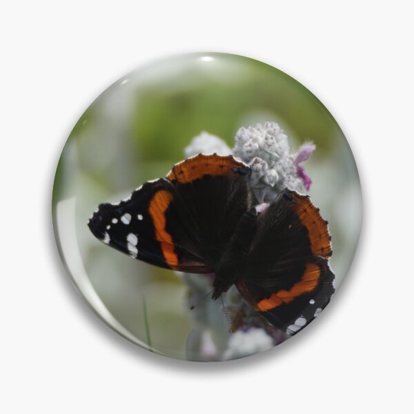 Artikelvorschau, Roter Admiral-Schmetterling entworfen und verkauft von distracted.