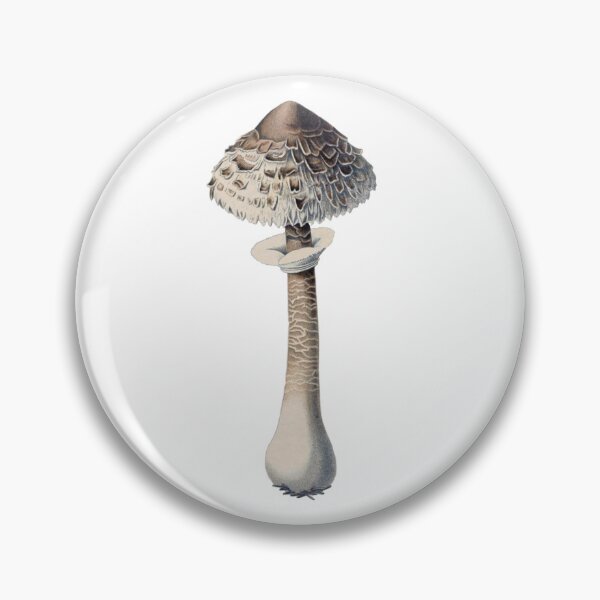 Item preview, Vintage Mushroom Illustration  designed and sold by HawthorneFlame.