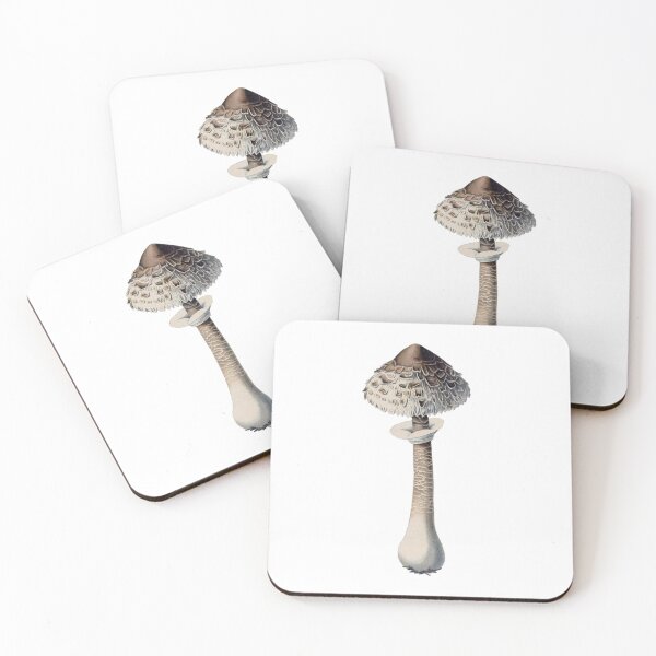 Item preview, Vintage Mushroom Illustration  designed and sold by HawthorneFlame.
