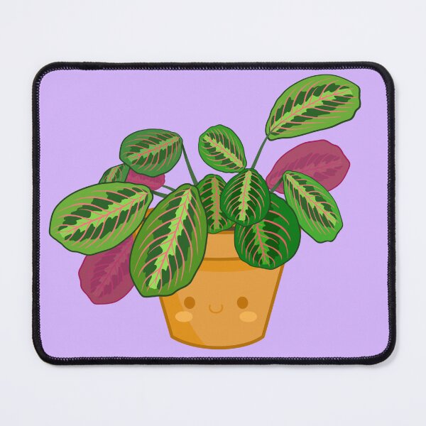 Item preview, Kawaii Prayer Plant designed and sold by bumblebreeart.