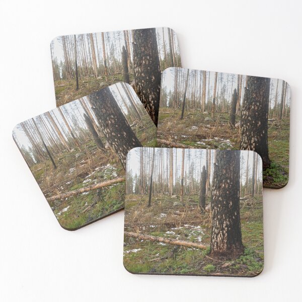 Item preview, Deliberate burning. Seitseminen 2024 2 designed and sold by Jouko Lehto Photography.