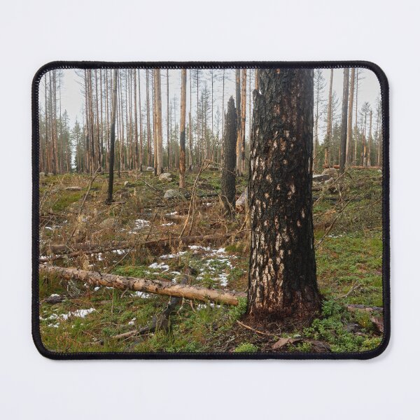 Item preview, Deliberate burning. Seitseminen 2024 2 designed and sold by Jouko Lehto Photography.