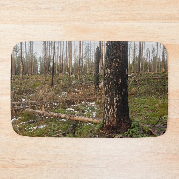 Item preview, Deliberate burning. Seitseminen 2024 2 designed and sold by Jouko Lehto Photography.