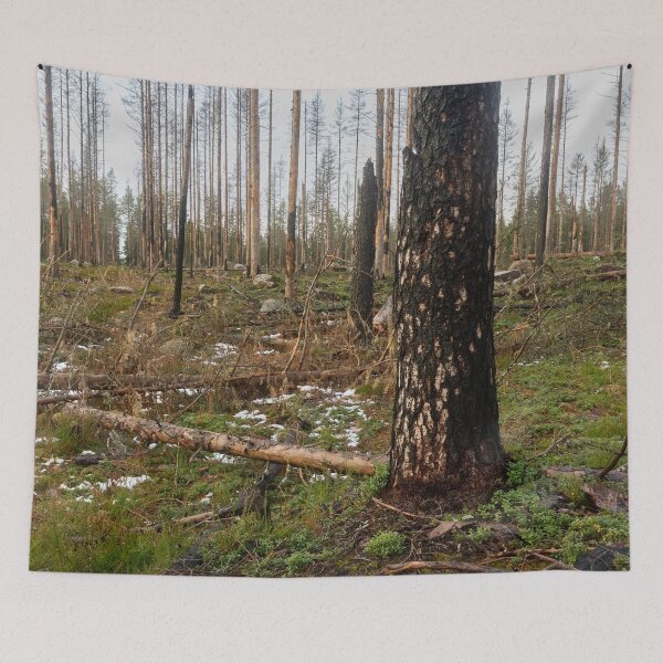 Item preview, Deliberate burning. Seitseminen 2024 2 designed and sold by Jouko Lehto Photography.